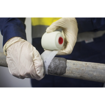 Dixon® RAP124